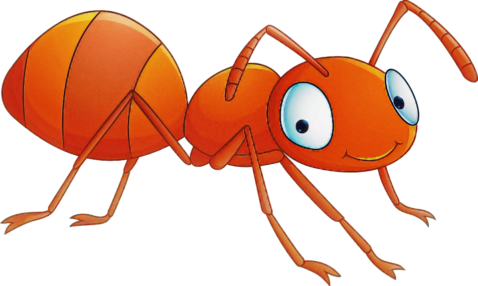 Orange Clipart