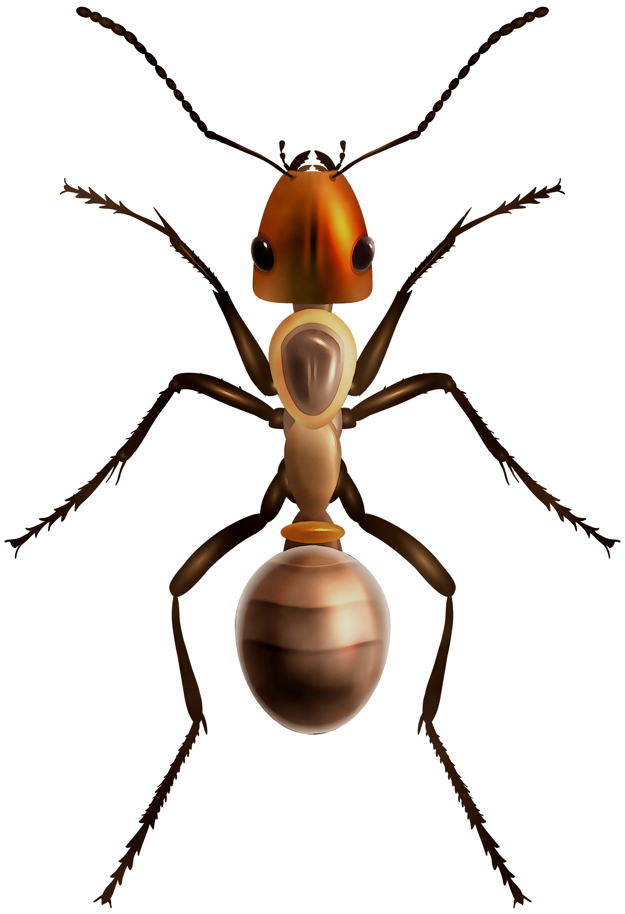 Ant Cartoon Clipart