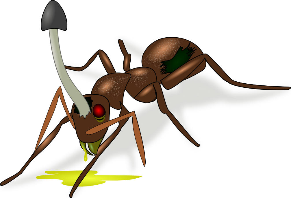 Bacteria Cartoon Clipart