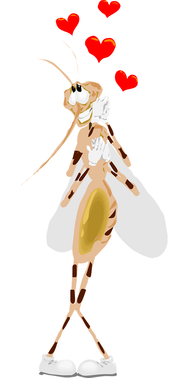 Marsh Mosquitoes Pollinator Clipart