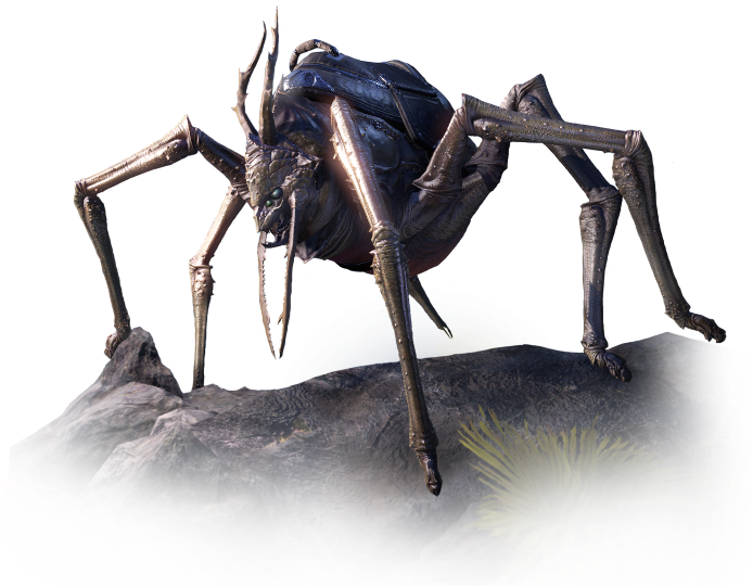 Ant Cartoon Clipart