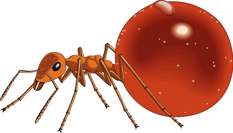 Ant Cartoon Clipart