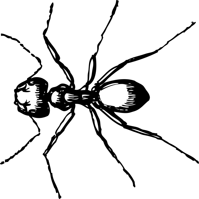 Black Line Background Clipart