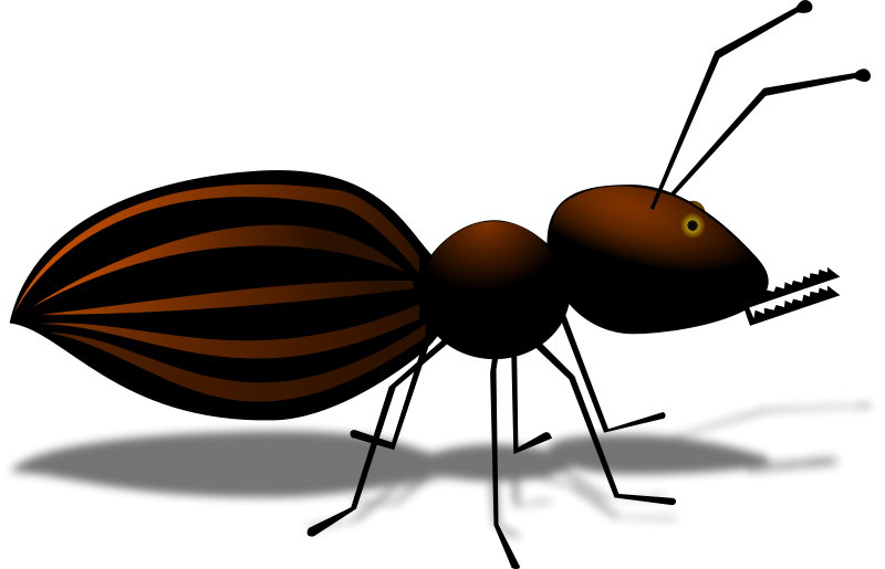 Ant Cartoon Clipart