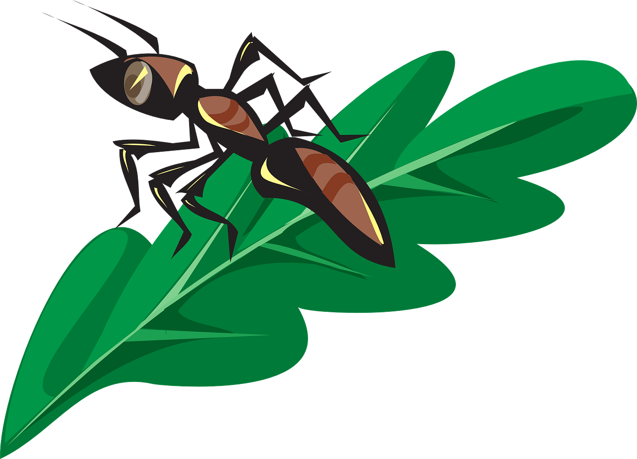 Ant Cartoon Clipart
