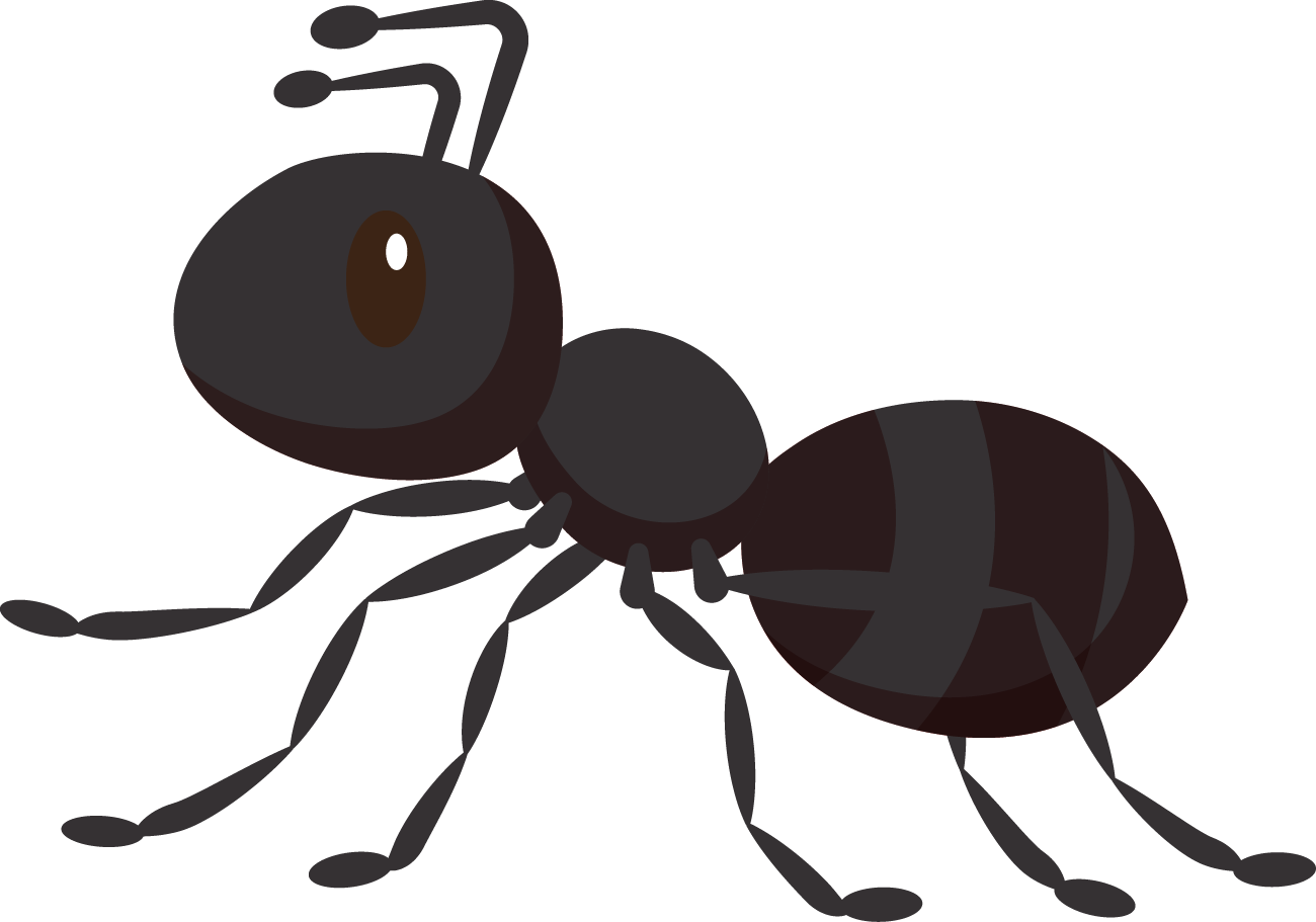 Spider Cartoon Clipart