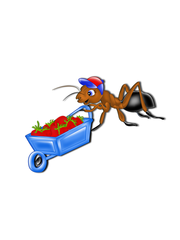 Ant Cartoon Clipart