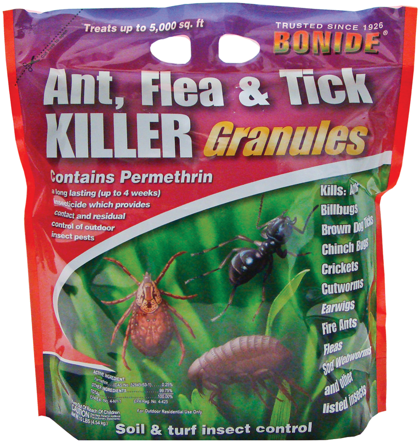 Ant Cartoon Clipart