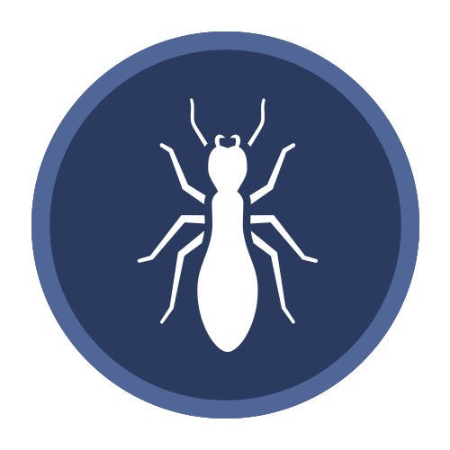 Ant Cartoon Clipart