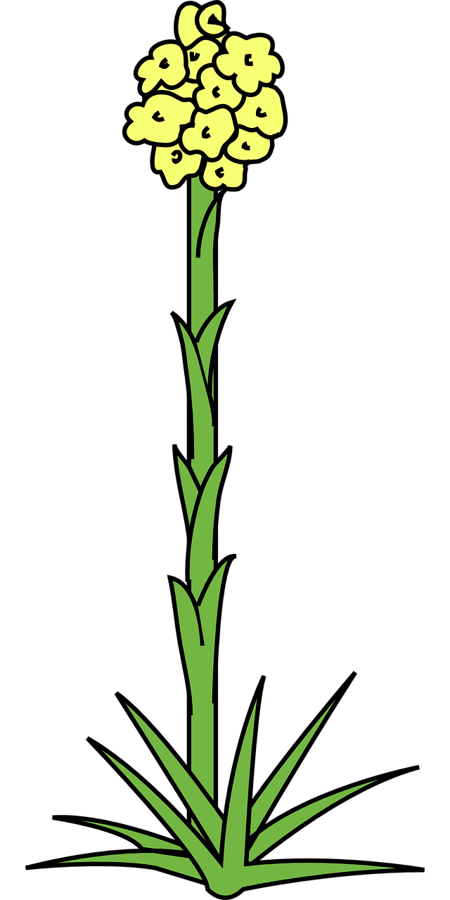 Flowers Clipart Background Clipart