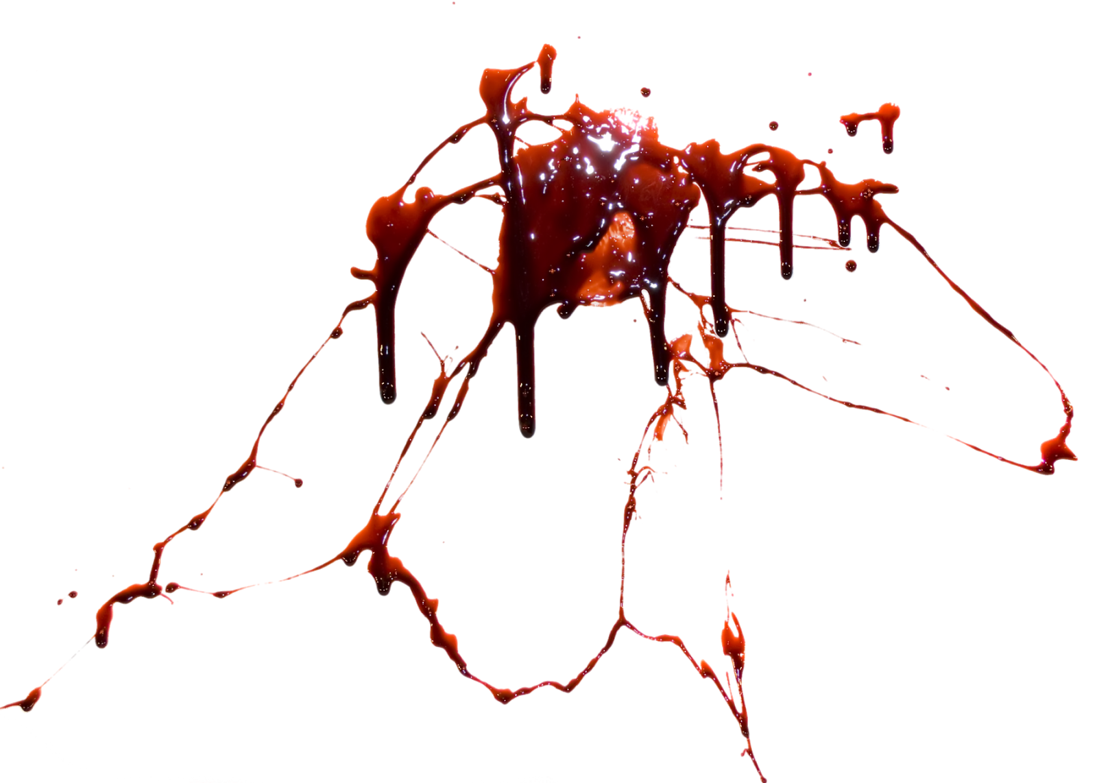 Ant Cartoon Clipart