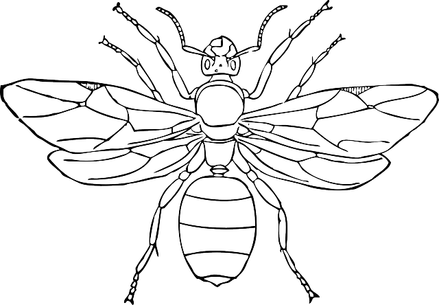 Bee Background Clipart