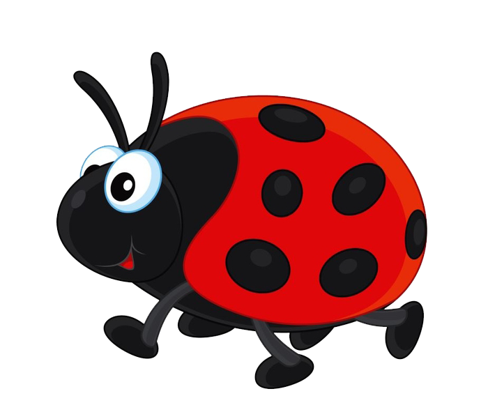 Ladybird Clipart Clipart