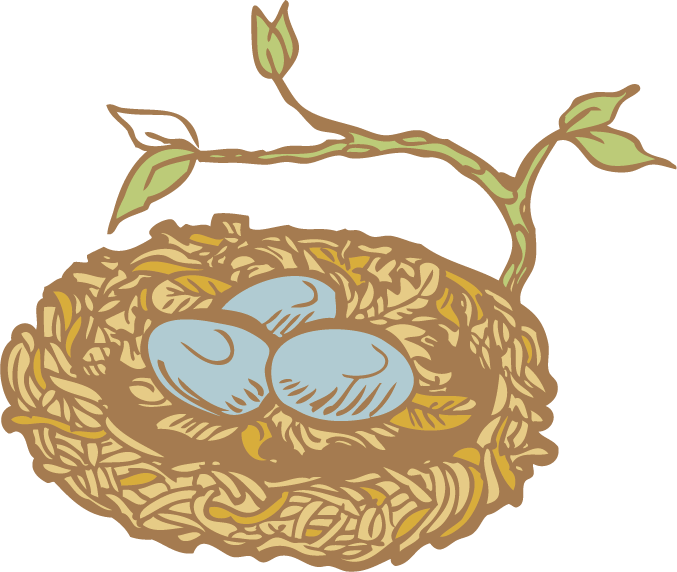Owl Cartoon Clipart