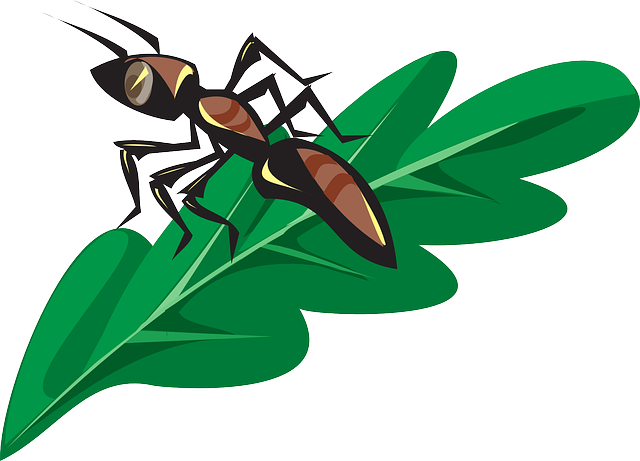 Leaf Fly Clipart