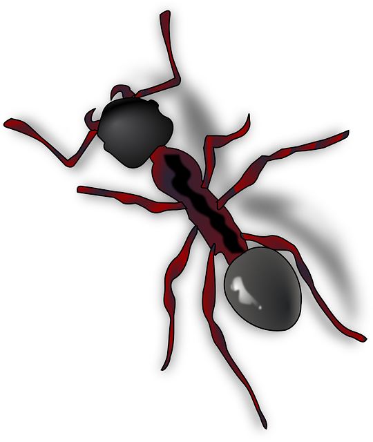 Ant Cartoon Clipart