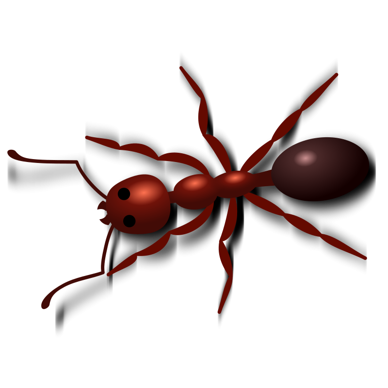 Ant Cartoon Clipart