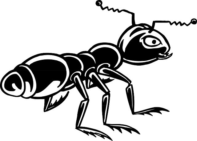 Ant Cartoon Clipart