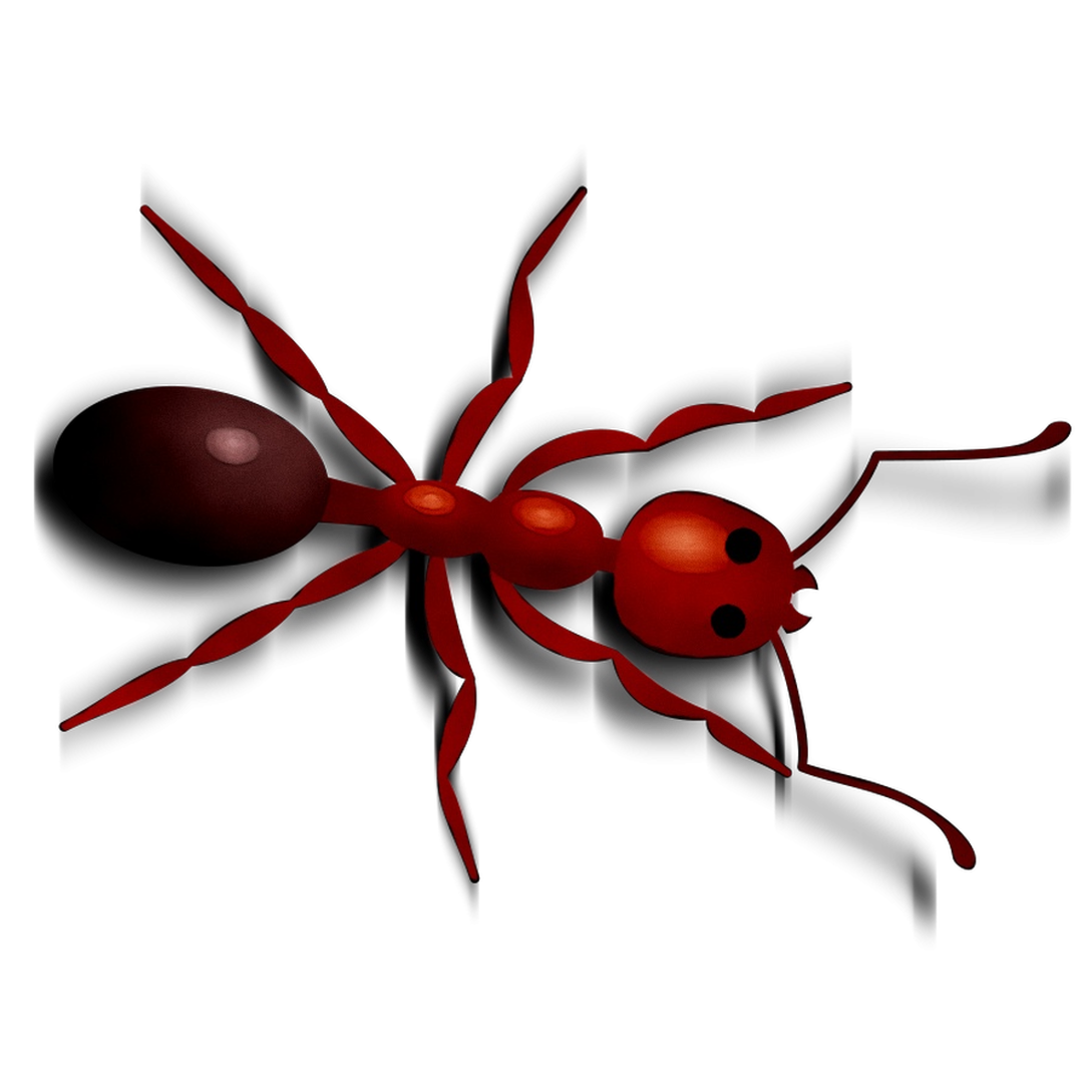 Ant Cartoon Clipart