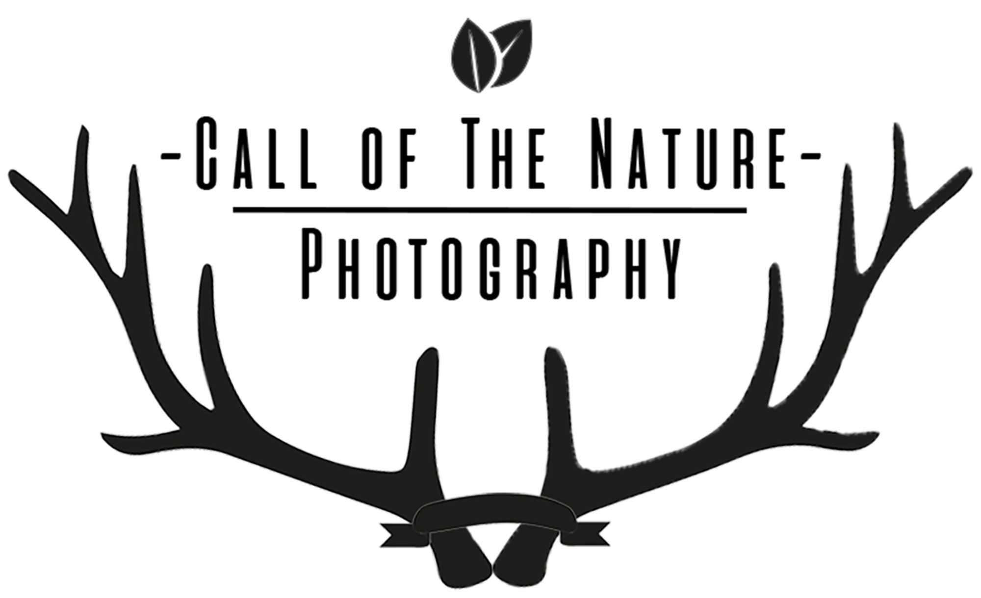 Butterfly Black And White Clipart