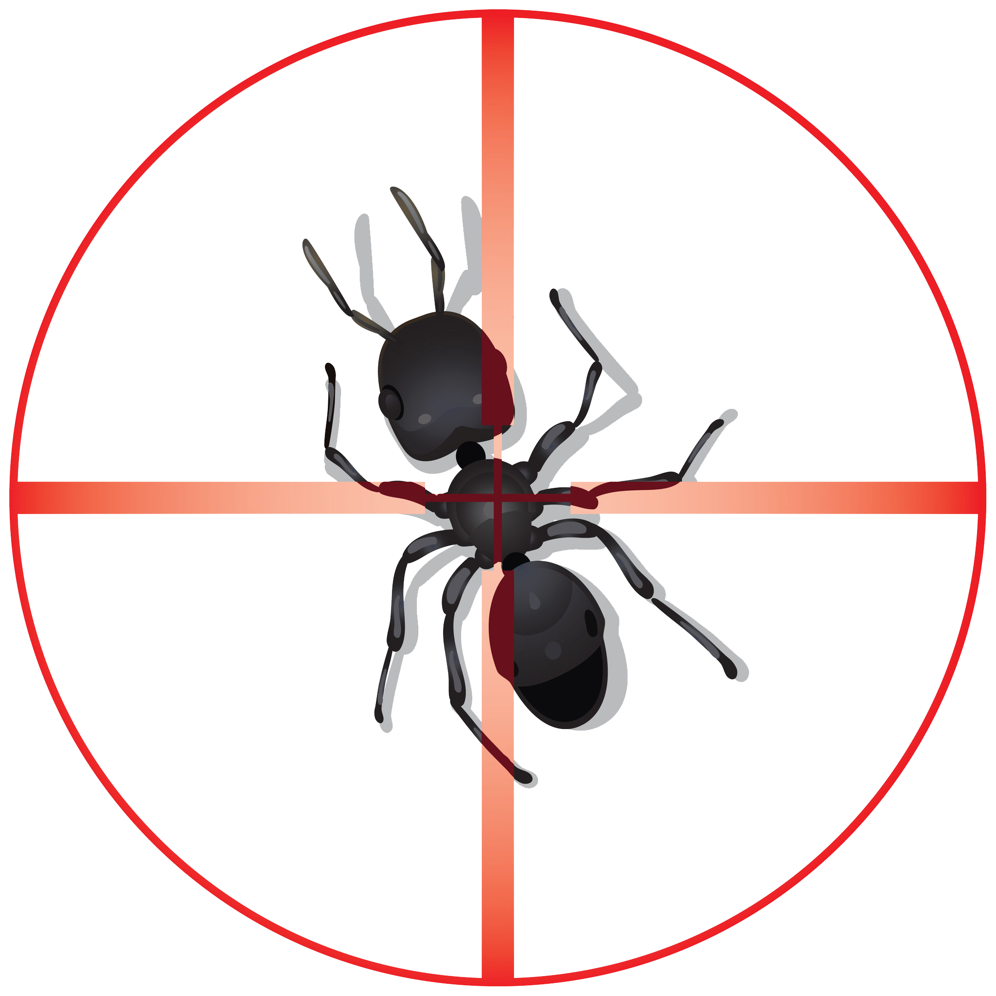Spider Web Clipart