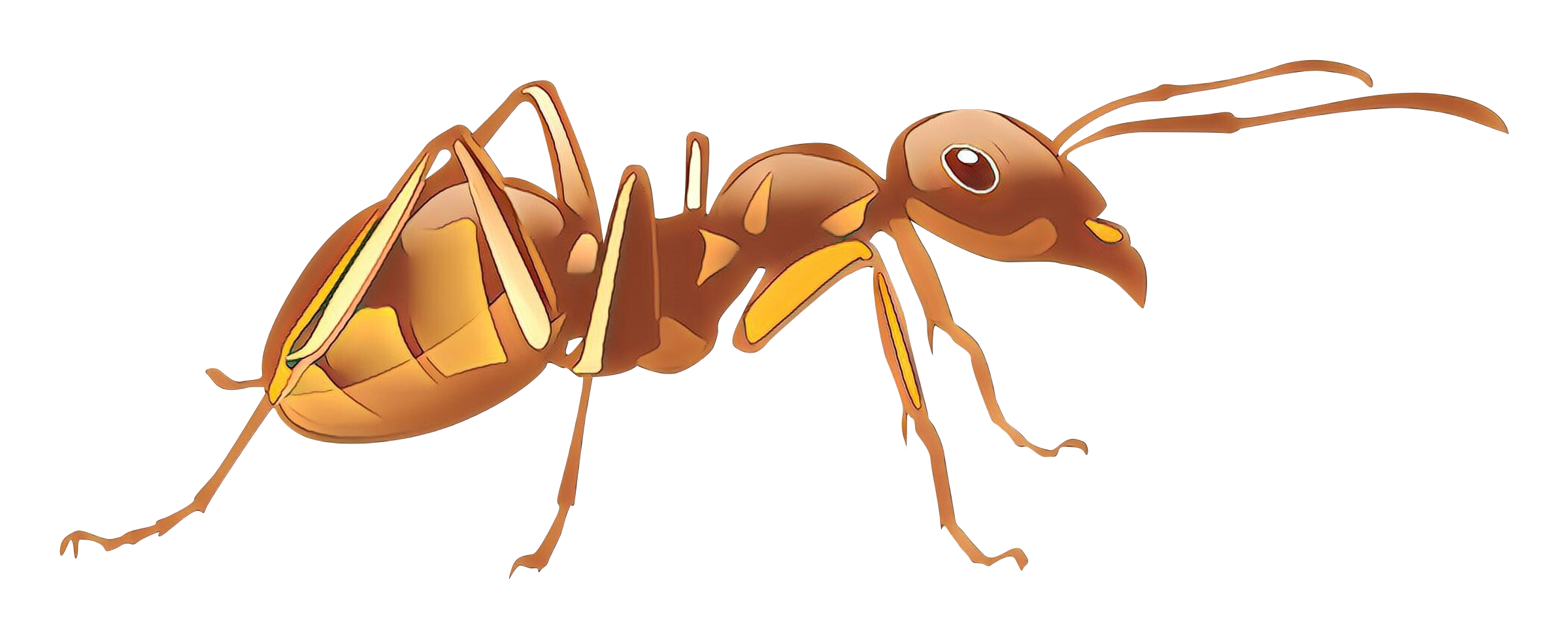 Ant Cartoon Clipart