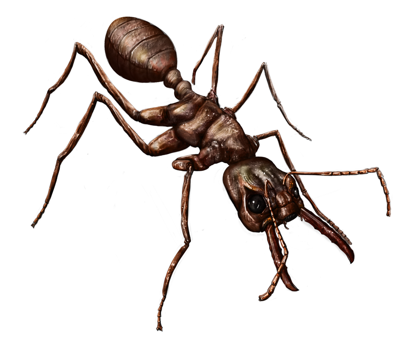 Ant Cartoon Clipart