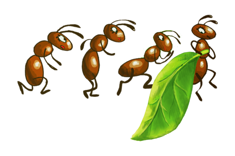 Ant Cartoon Clipart