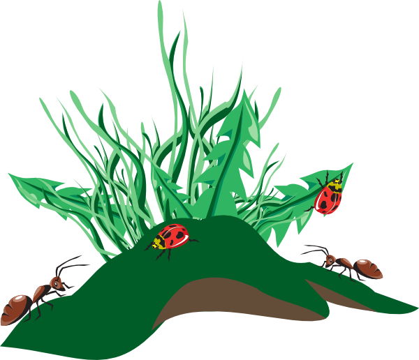 Christmas Tree Drawing Clipart