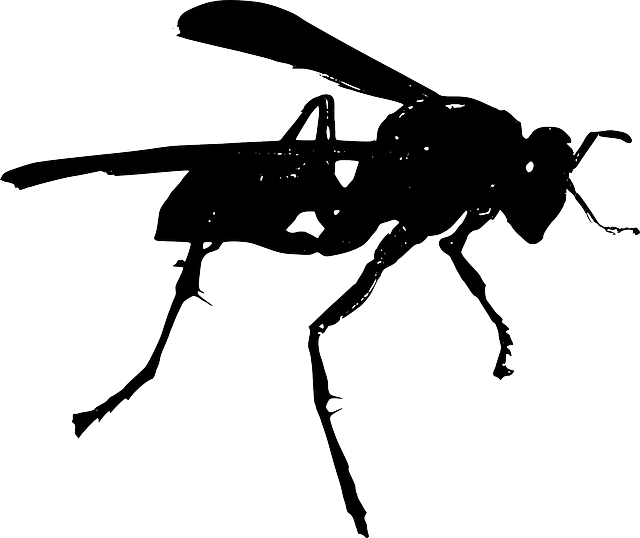 Ant Cartoon Clipart