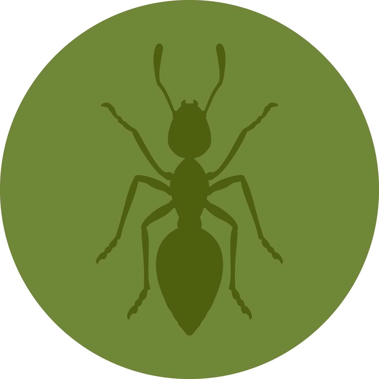 Ant Cartoon Clipart