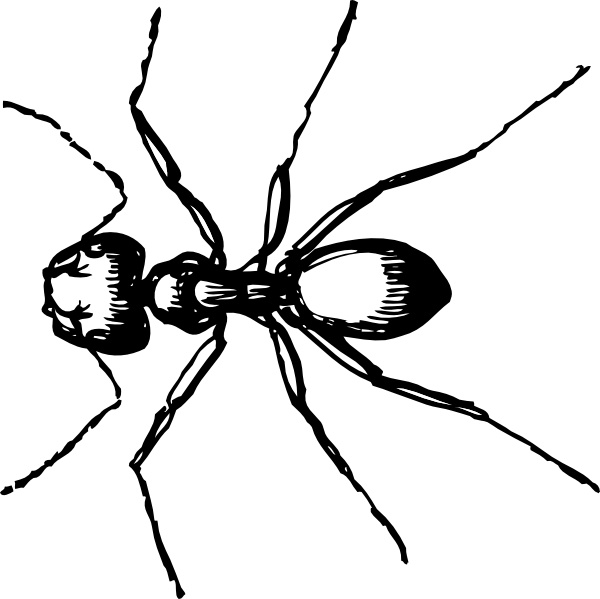 Carpenter Ant Vector In Open Office Drawing Clipart