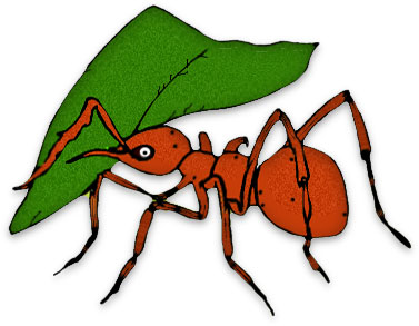 Free Ant Black Ants Free Download Clipart