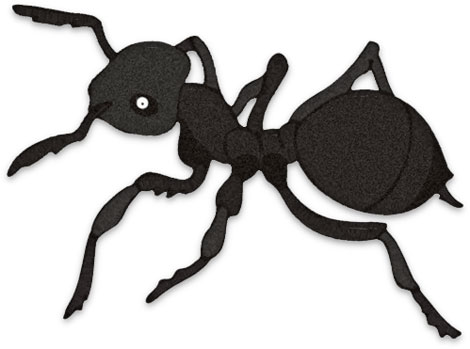 Free Ant Black Ants Download Png Clipart