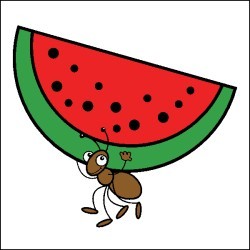 Ant Carrying Food Download Png Clipart