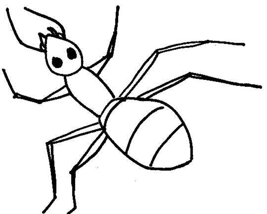 Dead Ants Download On Hd Photos Clipart