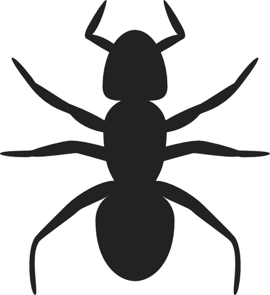 Ant Vector In Open Office Drawing Svg Clipart