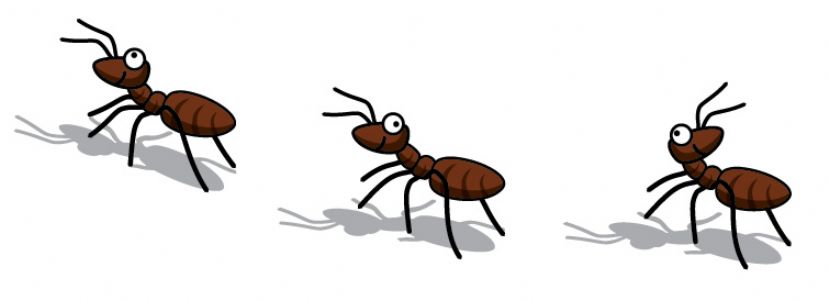 Ants Wikiclipart Png Images Clipart
