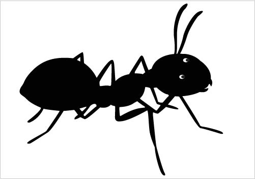 Awesome Ant Silhouette Vector Download Hd Photos Clipart