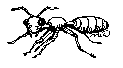 Big Ant Gallery Clipart Clipart
