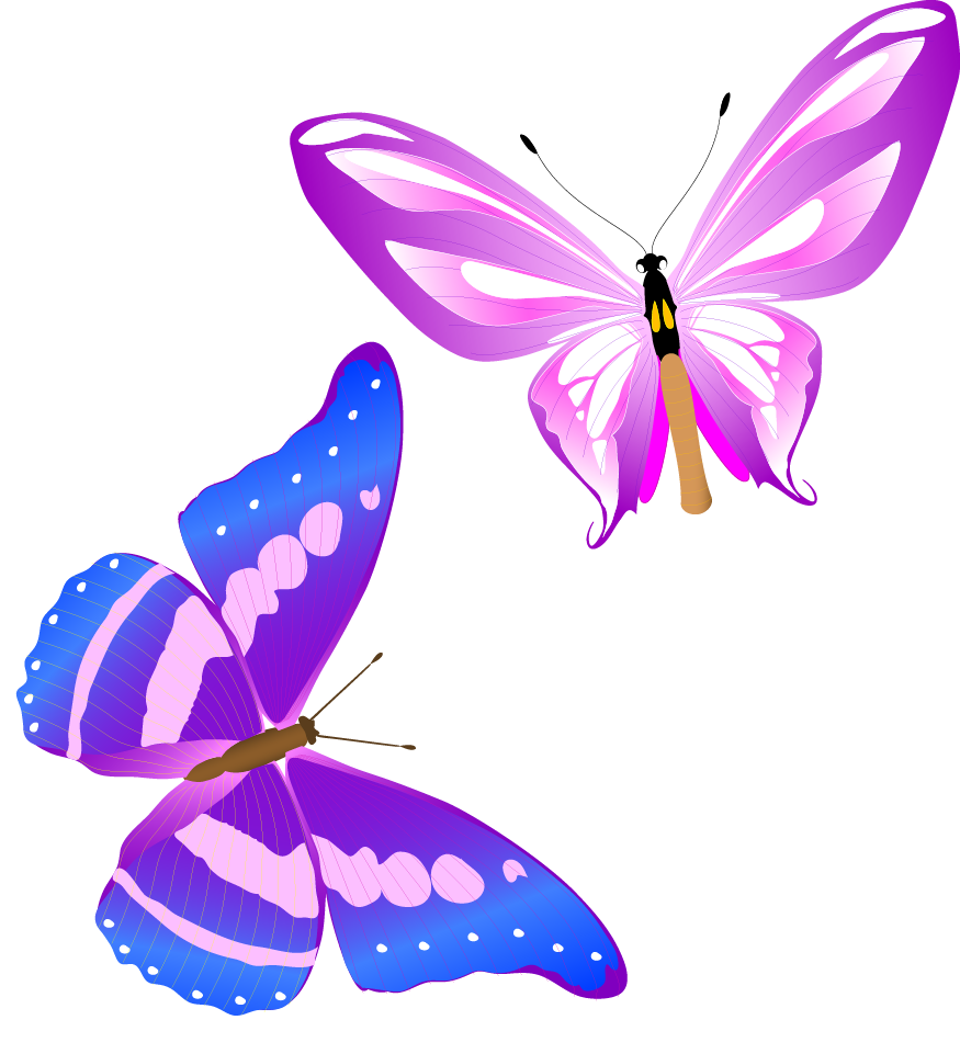 Butterfly Clipart Clipart
