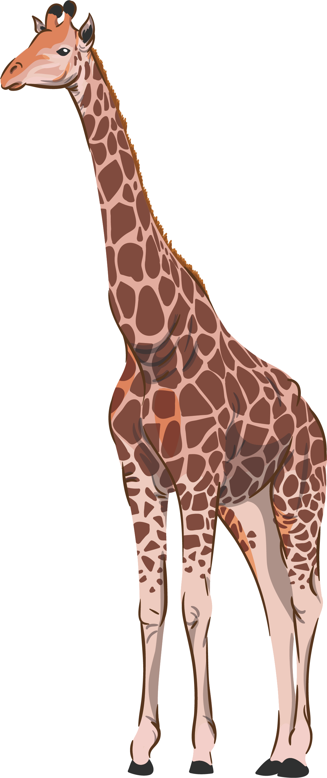 Giraffe Cartoon Clipart