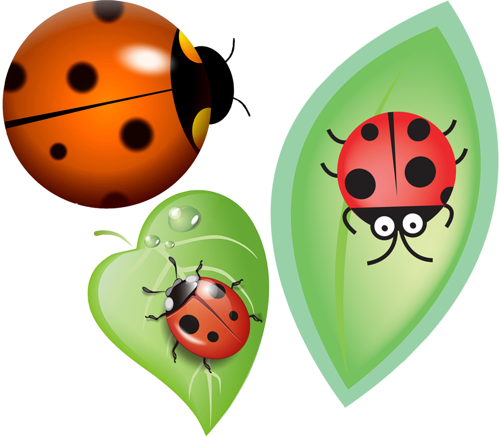 Bee Background Clipart