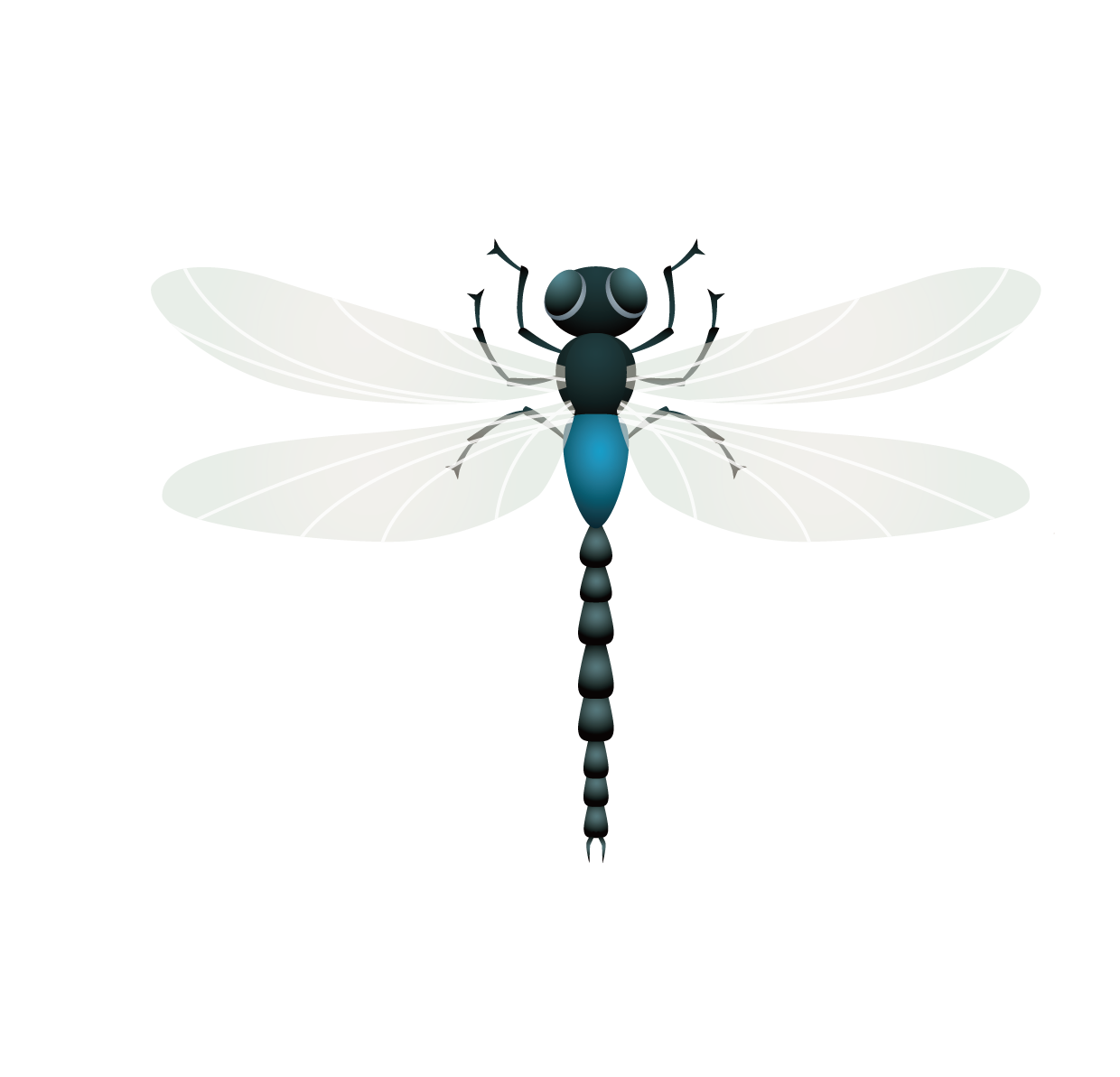 Insect Fly Clipart