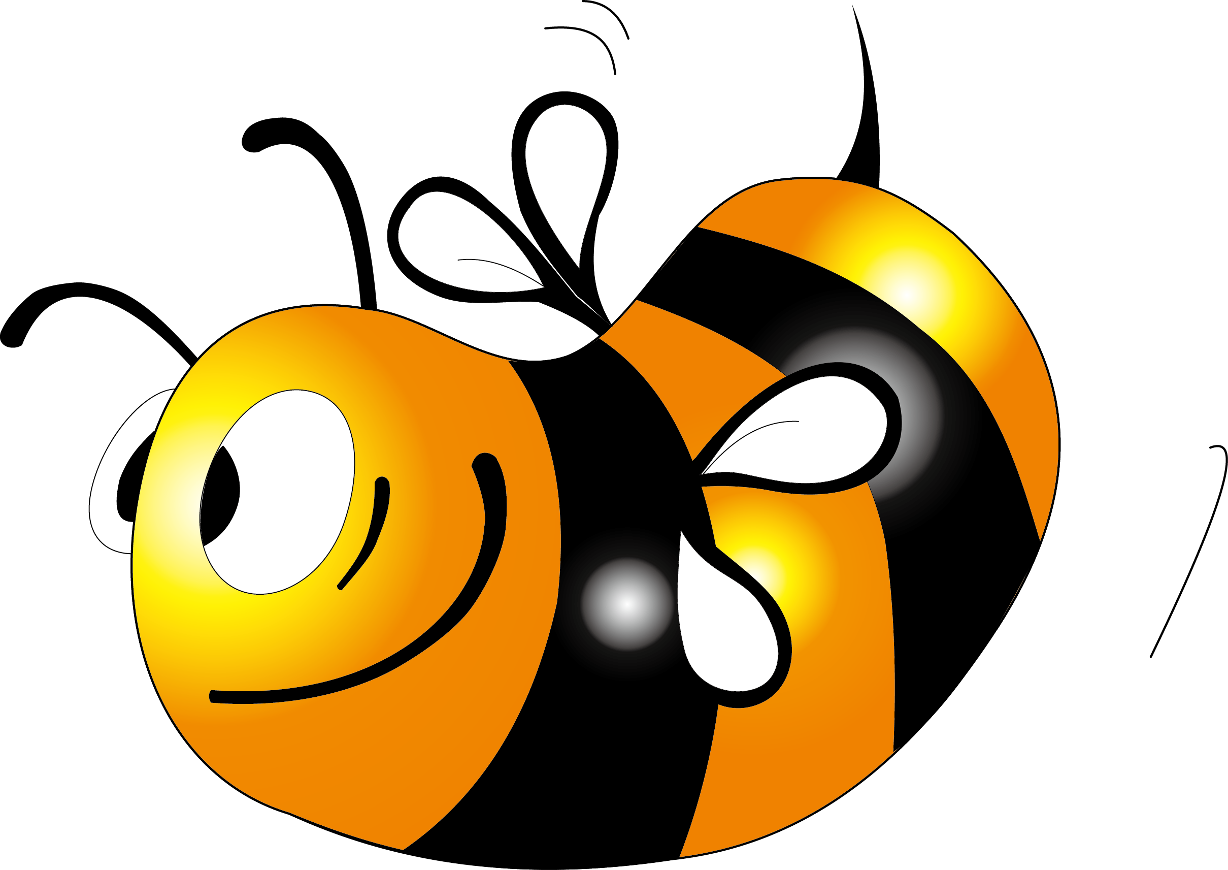 Ladybird Clipart Clipart