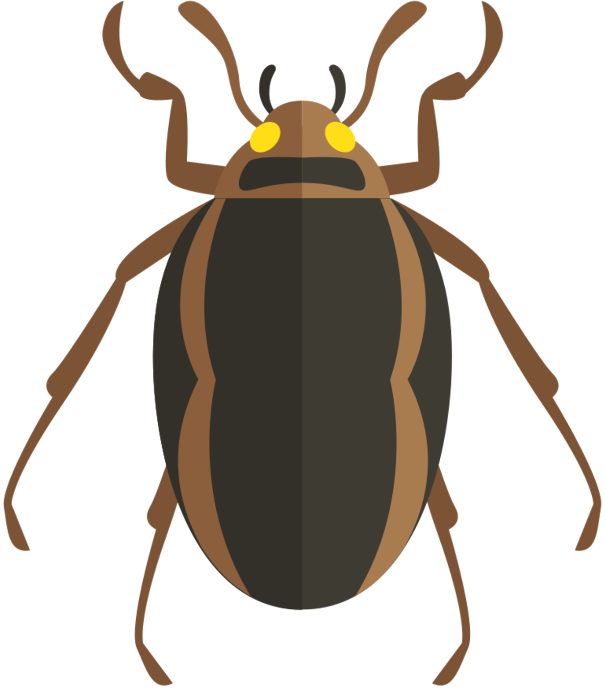Cockroach Cartoon Clipart
