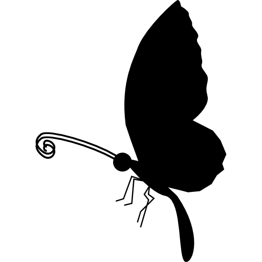 Butterfly Black And White Clipart