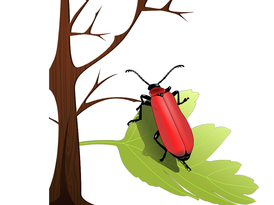 Mountain Cartoon Clipart