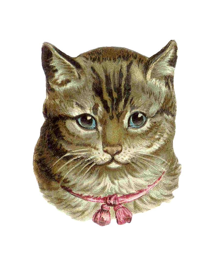 Cat Cartoon Clipart