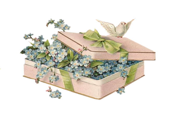 Birthday Gift Box Clipart